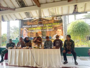 Pelaku UMKM Perlu Tingkatka...