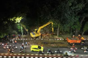 Pemkab Bogor Angkut 60 Truk Sampah yang Menyumbat Kali Baru