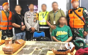 Seorang Pria Coba Selundupkan Ganja 2,6 Kg, lewat Bandara Sentani