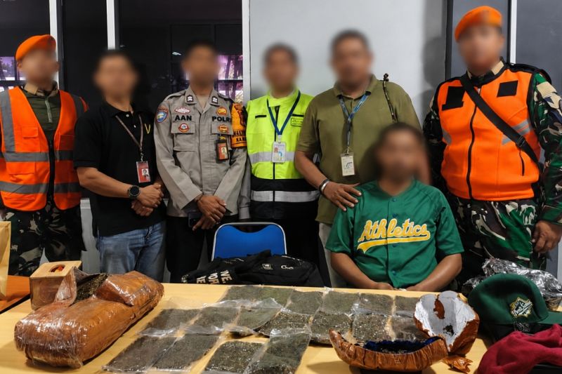Petugas Bandara Sentani Gagalkan Penyelundupan Ganja Kering 2,6 Kg