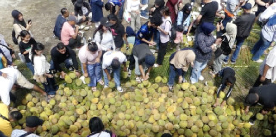 Ayo ke Bengkulu Musim Durian Tiba! Ini 8 Tips Memilihnya ...