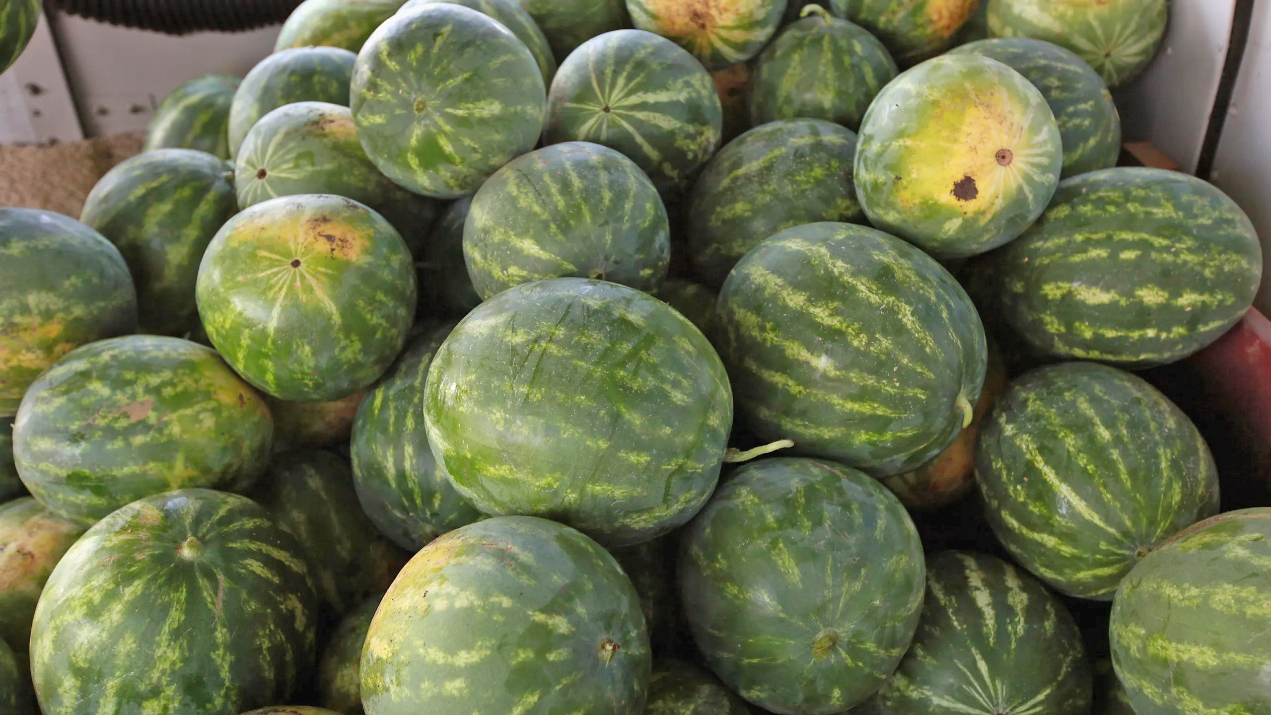 Bukan Cuma Air Putih, Buah-Buahan Ini Manjur Jaga Hidrasi...