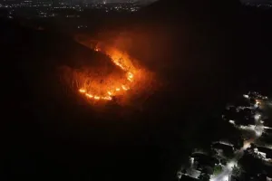 Kebakaran Melanda Gunung Gombak di Ponorogo, 15 Hektare Hutan dan Lahan Hangus!