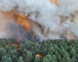 Kebakaran Hutan Menghancurkan Lebih dari 1.300 Hektare Hutan Bersejarah di Dekat Paris