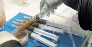 Mengubah Isi Piring untuk Triliunan Bakteri Baik
