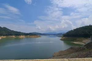 RI Berpotensi Kehilangan Daya Saing EBT