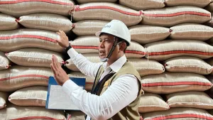 Tembus 3,4 Juta Ton! Bulog Gasspol Serap Gabah Petani 85% dari Target