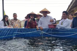 BRIN Kembangkan Alat Inkubator Percepat Pembenihan Ikan Nila secara Efisien