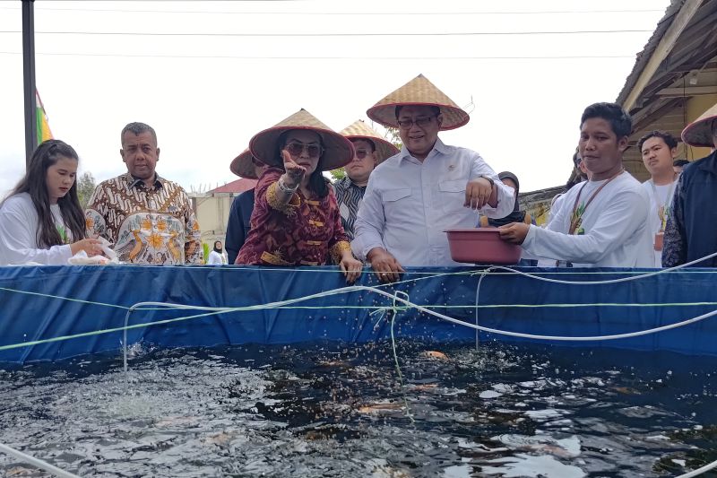 BRIN Kembangkan Alat Inkubator Percepat Pembenihan Ikan N...