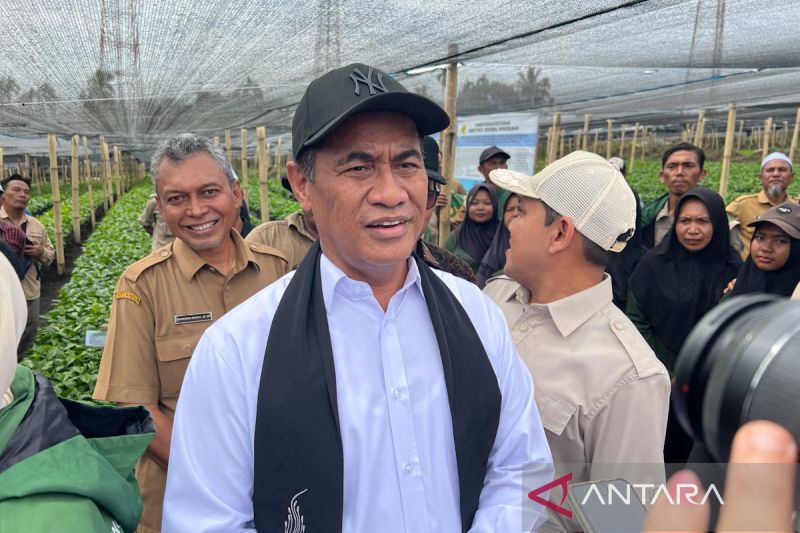 Mentan Sebut Ekspor Satu Pintu Perkuat Posisi Tawar Komod...