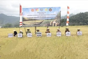 Pangdam XIII/Merdeka: Ketahanan Pangan Tanggung Jawab Bersama, Bukan Hanya Petani.