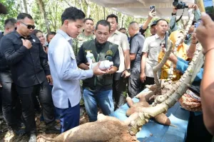 Gibran Serap Aspirasi Petani Singkong, Janjikan Harga Lebih Stabil dan Impor Dibatasi