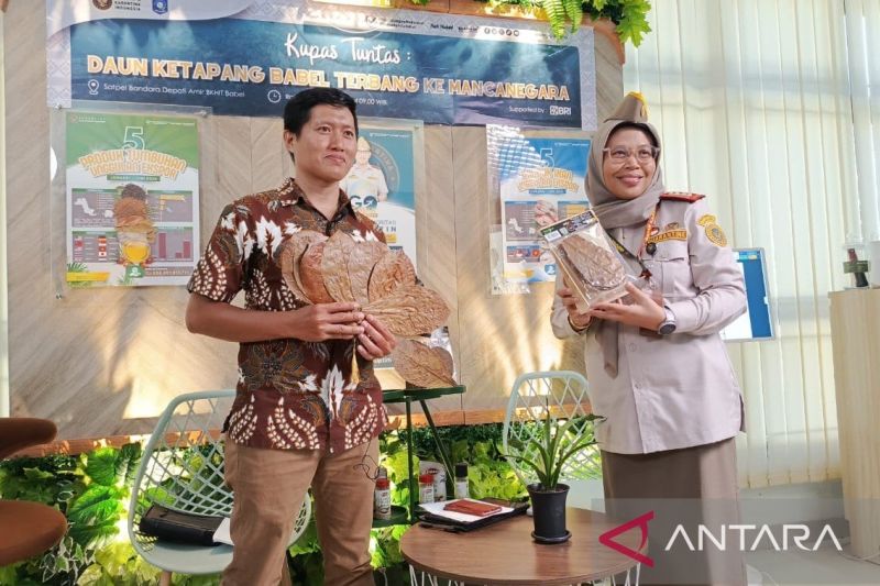 Karantina Bangka Belitung Dampingi UMKM Ekspor Buah Cemar...