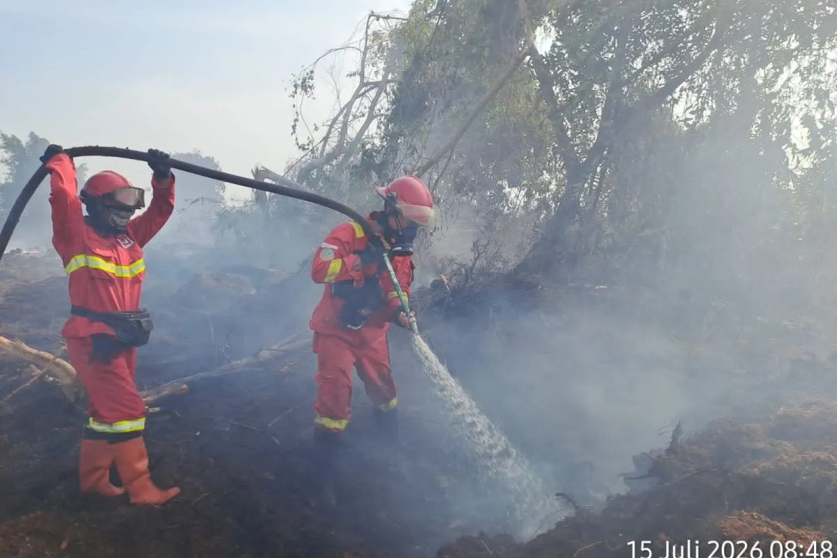 Kebakaran 7,5 Hektare Hutan dan Lahan di Rokan Hilir Riau Berhasil Dipadamkan