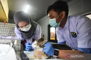 Mobil Klinik Hewan Keliling...