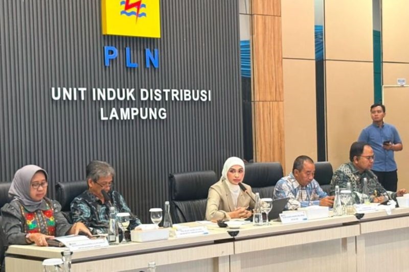 RUU Ketenagalistrikan Diharapkan Perkuat Ketahanan Energi dan Percepat Transisi Energi Bersih