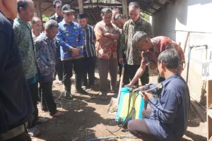 Gunungkidul Perkenalkan Sawah Terpal, Cara Baru Bertani di Lahan Terbatas