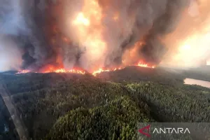 Kebakaran Hutan Kanada Kian Mengganas, Gelombang Pengungsian Tak Terbendung