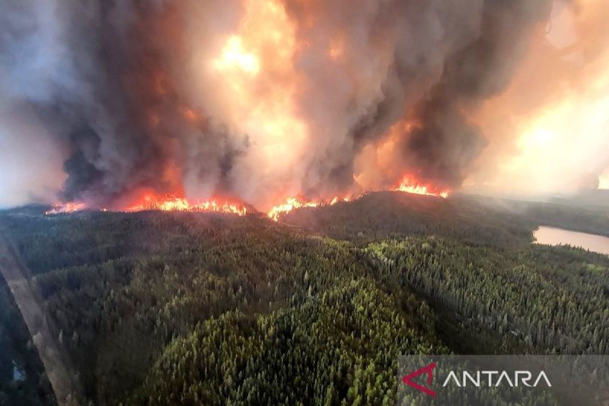 Kebakaran Hutan Kanada Kian Mengganas, Gelombang Pengungs...