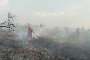 Kebakaran Hutan dan Lahan di Riau 2026 Mencapai 15.477,9 Hektare, Didominasi Lahan Gambut