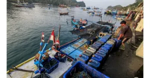 KKP: Penyaluran BBM Solar R...