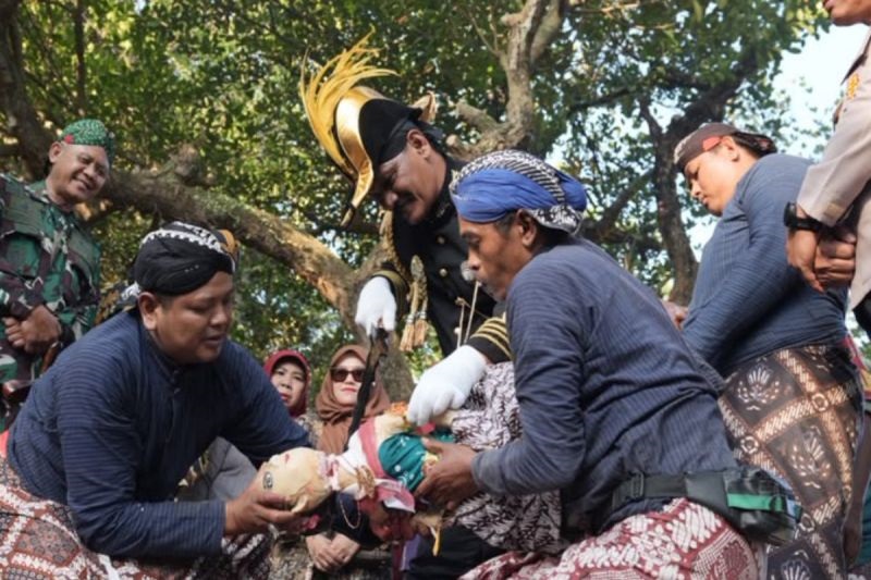 Ribuan Warga Padati Kirab Saparan Bekakak Sleman 2026, Tradisi Syukur Berakhir dengan Prosesi Penyembelihan Bekakak