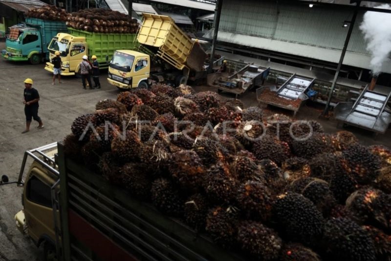 Serap 37.833 Tenaga Kerja, ...