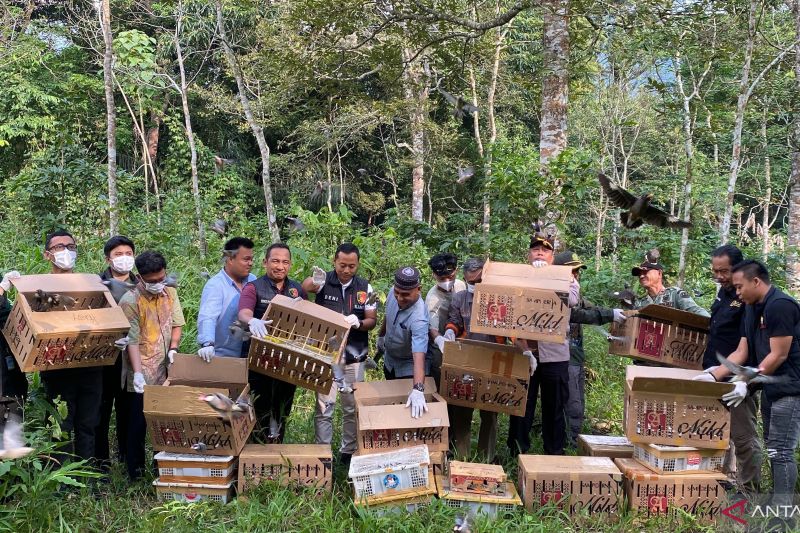 977 Burung Hasil Gagalkan Penyelundupan di Bakauheni Dile...