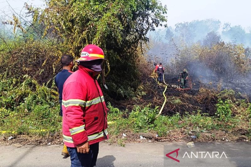 Kebakaran Lahan di Aceh Barat, BPBD Turunkan Personel ke ...