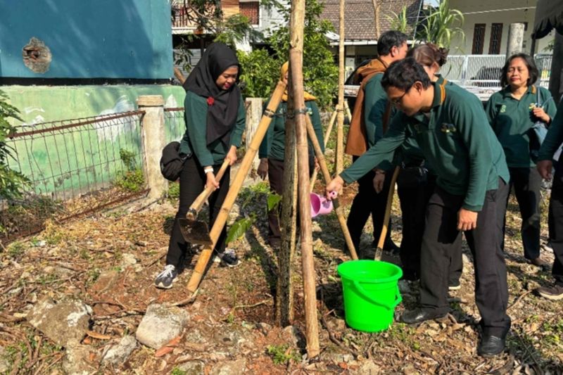 Perluas RTH di Jakbar, Pohon Tabebuya Pink Ditanam di Lah...