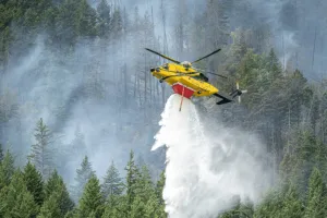 Trump Ancam Naikkan Tarif Kanada Gara-gara Polusi Asap Kebakaran Hutan