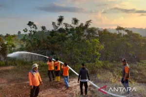 BPBD OKU Padamkan Karhutla di Baturaja Timur, Cegah Kabut Asap Meluas.