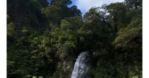 Cocok buat Treking dan Heal...