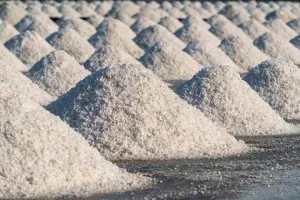 DPR RI Dorong Hilirisasi Garam Bali untuk Industri Kosmetik dan Spa