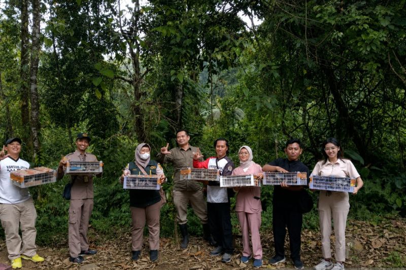 Karantina Ketapang Gagalkan...