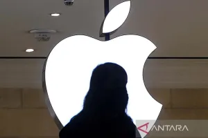 Tak Langsung Bertarung di P...