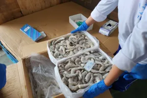 Akses Pasar Tiongkok Dipert...