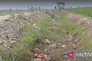 Pemkab Subang Salurkan Alsintan dan Pompa Air untuk Atasi Kekeringan Sawah.