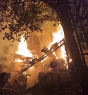 Petaka Tengah Malam: Kandang Terbakar 3.100 Ayam Hangus, Peternak Rugi Ratusan Juta