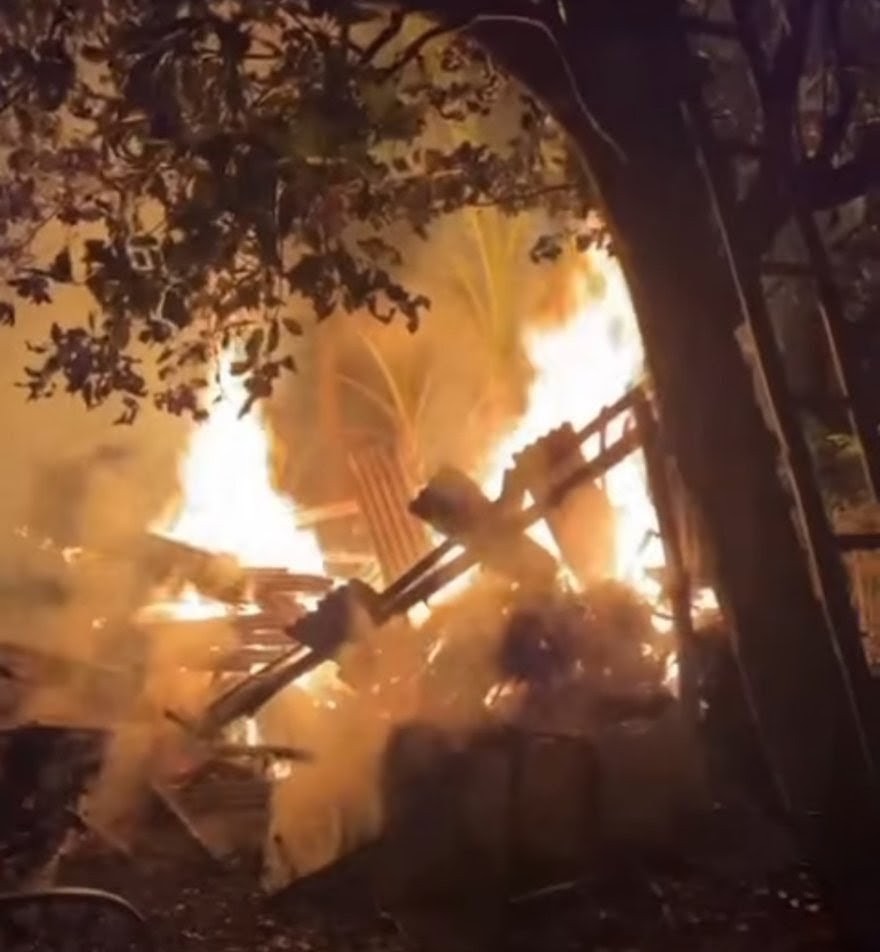 Petaka Tengah Malam: Kandang Terbakar 3.100 Ayam Hangus, ...