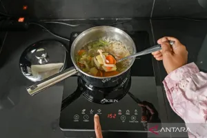 Transisi Energi Bertahap, E...