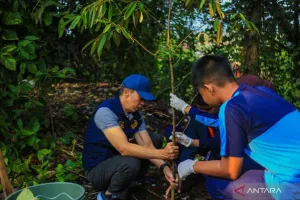 Aksi Tanam Pohon dan Bersih-bersih Kali Cipakancilan oleh Pelajar Kota Bogor