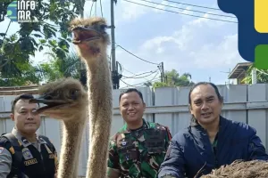 Bandung Heboh, Dua Ekor Bur...