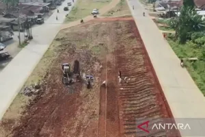 Bukan Sekadar Pembatas Jalan, Median Bojonggede-Kemang Disulap Jadi Kebun Produktif
