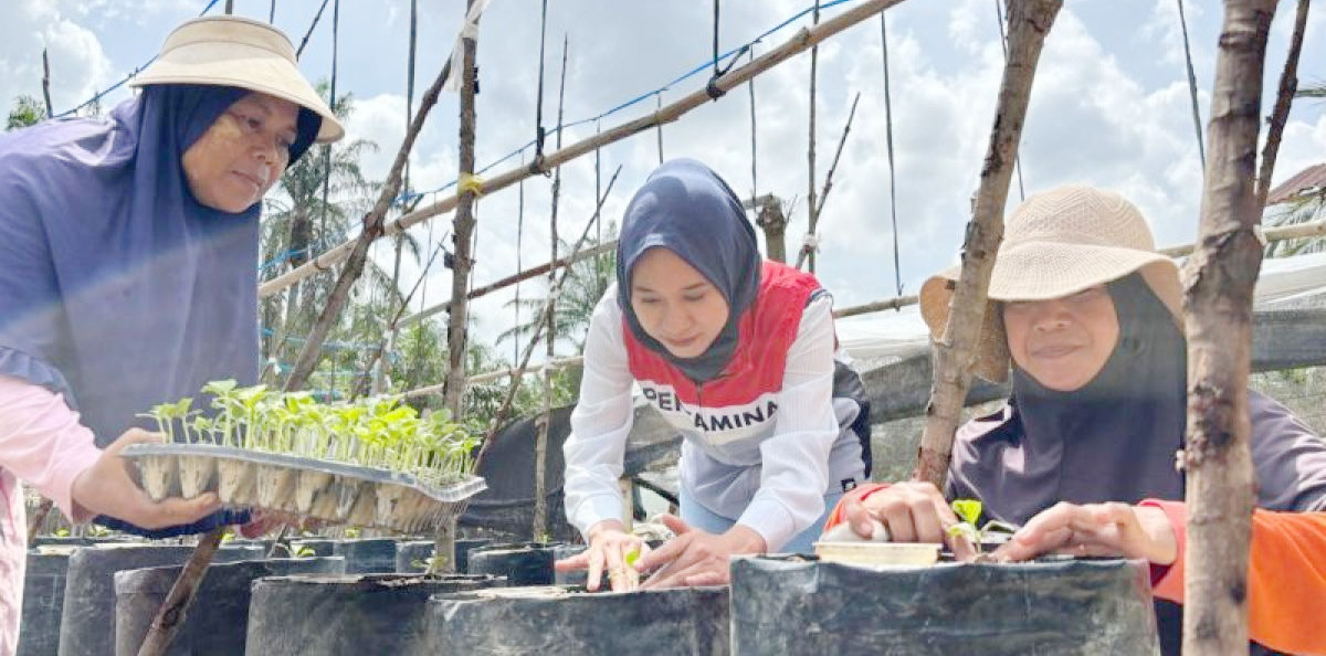Chaidir Saleh Menginspirasi Pemberdayaan Ekonomi Petani Milenial Lewat Sentuhan Manis Melon Golden