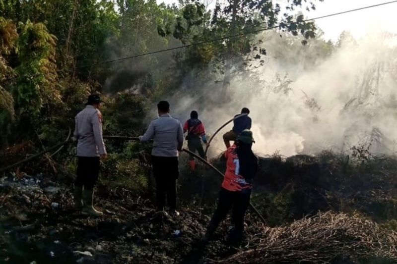 Karhutla Meningkat, BPBD Kotawaringin Timur Kaji Status T...
