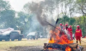 Perhutani Jawa Barat dan Ba...
