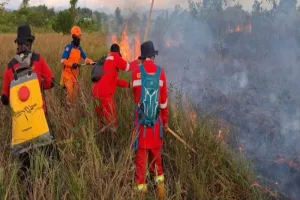 BPBD Kalsel Gerak Cepat Atasi Karhutla di Cempaka dan Area Perkantoran Gubernur.