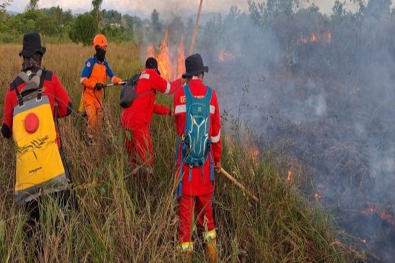 BPBD Kalsel Gerak Cepat Atasi Karhutla di Cempaka dan Are...
