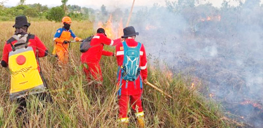 Kantor Gubernur Kalsel DIkepung Kebakaran Hutan, BPBD Ber...